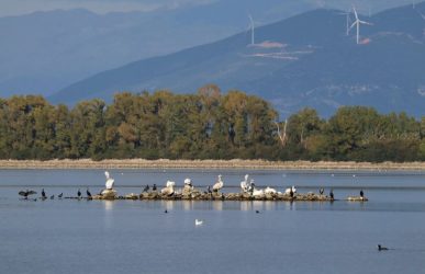 ΚΟΙΝΣΕΠ Ecoroutes: Εκδρομή στις λίμνες της Βόρειας Ελλάδας – Επίσκεψη σε Κερκίνη και Λίμνη Αγρα (ΦΩΤΟ)