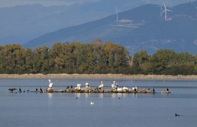 Εκδρομή στις λίμνες της Βόρειας Ελλάδας - Επίσκεψη σε Κερκίνη και Λίμνη Αγρα