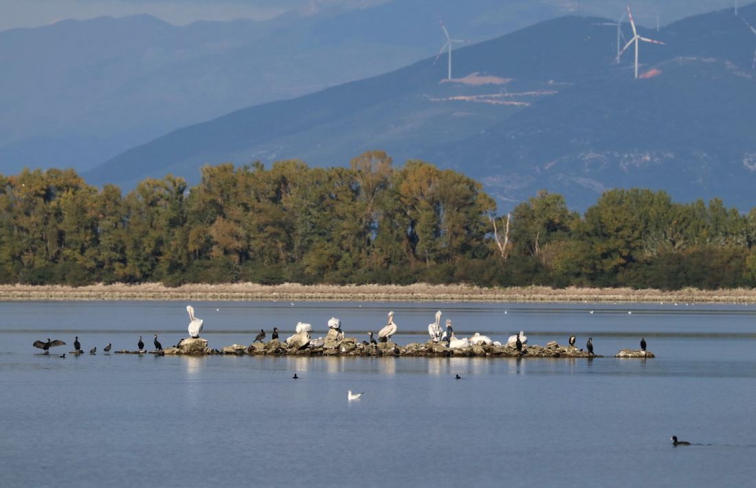 Εκδρομή στις λίμνες της Βόρειας Ελλάδας - Επίσκεψη σε Κερκίνη και Λίμνη Αγρα