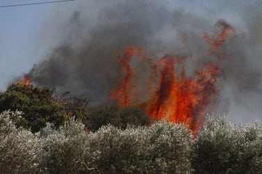 Συναγερμός στη Θεσσαλονίκη – Επίγειες και εναέριες δυνάμεις επιχειρούν για την κατάσβεση φωτιάς κοντά στο Λιβάδι