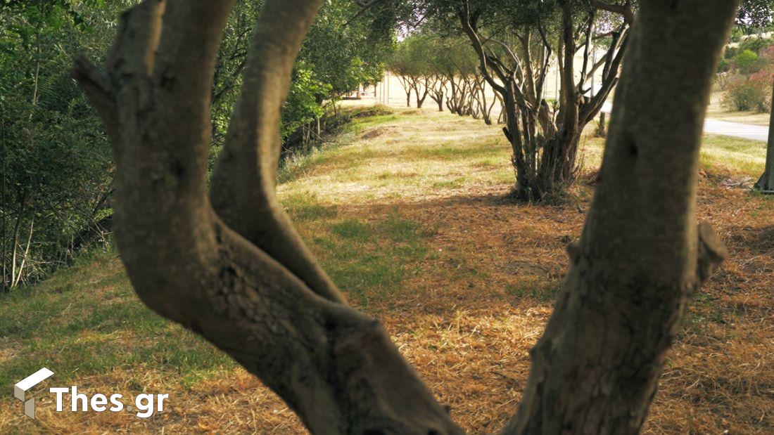 Φράγμα Θέρμης Θεσσαλονίκη