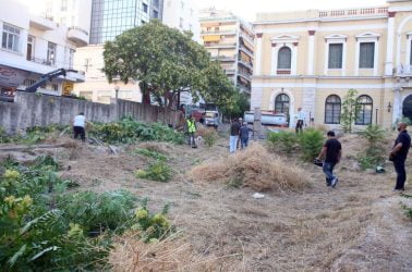 Τι πρέπει να κάνουν οι πολίτες με τις δηλώσεις για τους καθαρισμούς των οικοπέδων τους