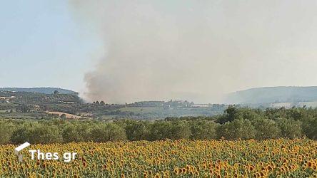 Σέρρες: Μεγάλη φωτιά στη Νιγρίτα – “Σηκώθηκαν” επτά αεροσκάφη και τρία ελικόπτερα (ΒΙΝΤΕΟ & ΦΩΤΟ)