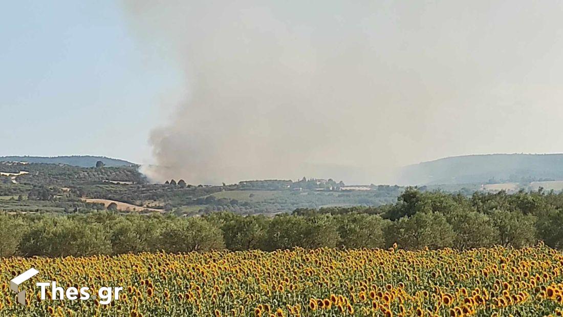 φωτιά στις Σέρρες
