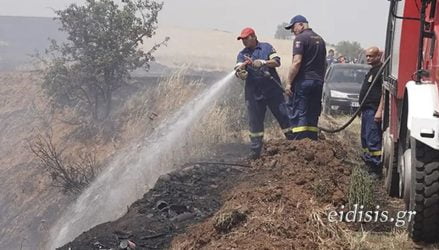 Κιλκίς: Συναγερμός για πυρκαγιά σε χωράφια στην Κρηστώνη (ΒΙΝΤΕΟ)