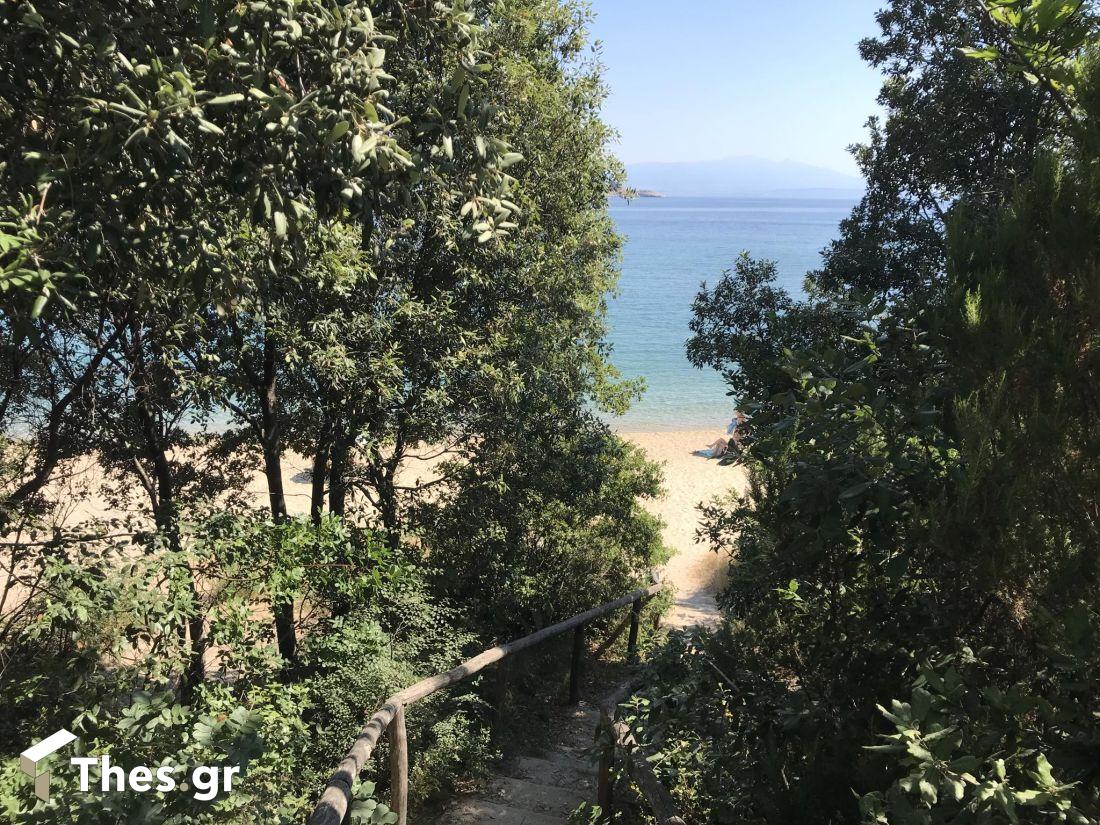 Παραλία Συκιά Ολυμπιάδα Χαλκιδική θάλασσα μπάνιο καλοκαίρι διακοπές Beach Chalkidiki Olympiada Sykia