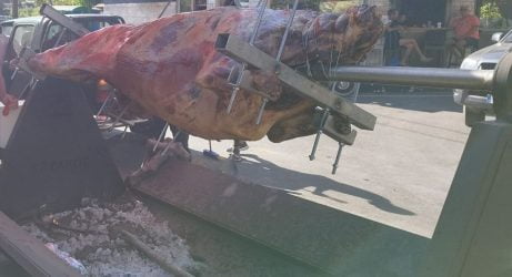 Αντιδράσεις από φιλόζωους για το σούβλισμα ταύρου για την γιορτή του Αγίου Πνεύματος