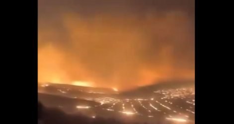 Τουρκία: Πέντε νεκροί και δεκάδες νεκρά ζώα και τραυματίες από μεγάλες φωτιές