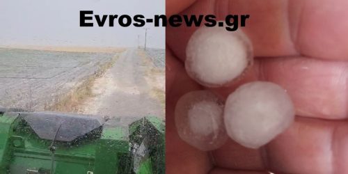 Εβρος: Καταστροφές σε καλλιέργειες από χαλάζι σε μέγεθος καρυδιού (ΒΙΝΤΕΟ)