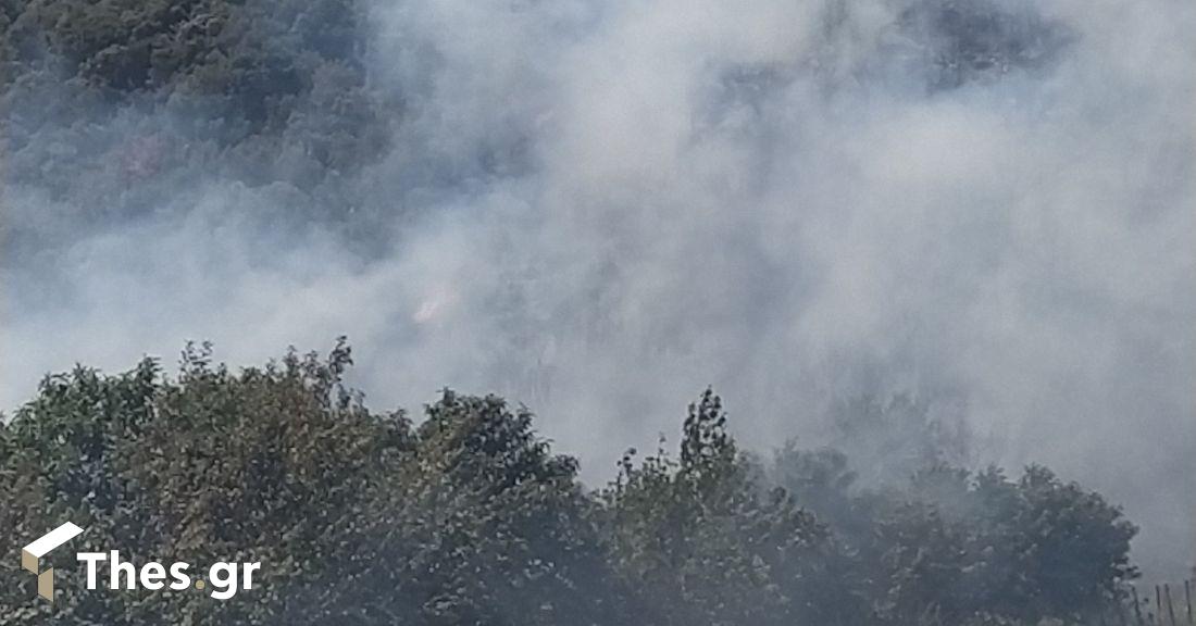 φωτιά Παλαιοχώρι Παγγαίο Καβάλα