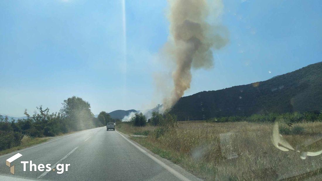 φωτιά Παλαιοχώρι Παγγαίο Καβάλα