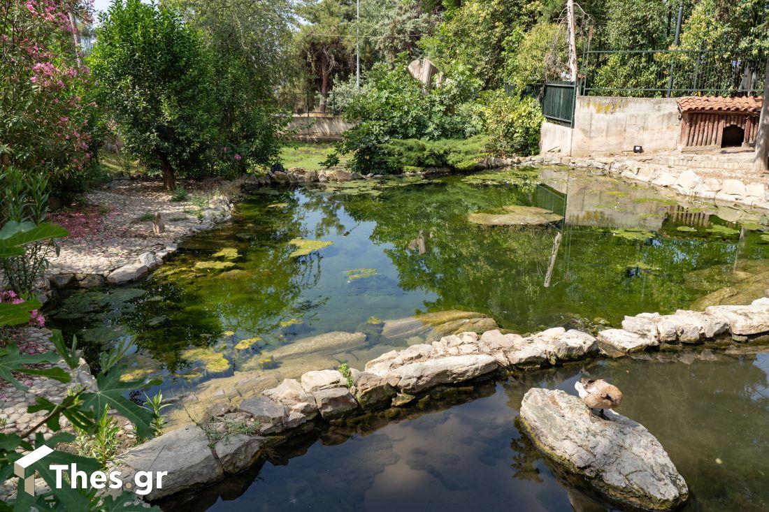 Ζωολογικός Κήπος Θεσσαλονίκη