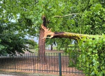 Αλμωπία Πτώσεις δέντρων και ζημιές σε σπίτια 