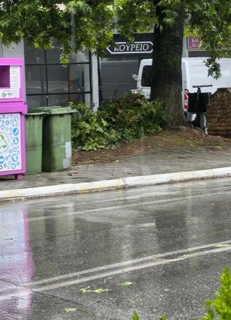 Αλμωπία Πτώσεις δέντρων και ζημιές σε σπίτια 