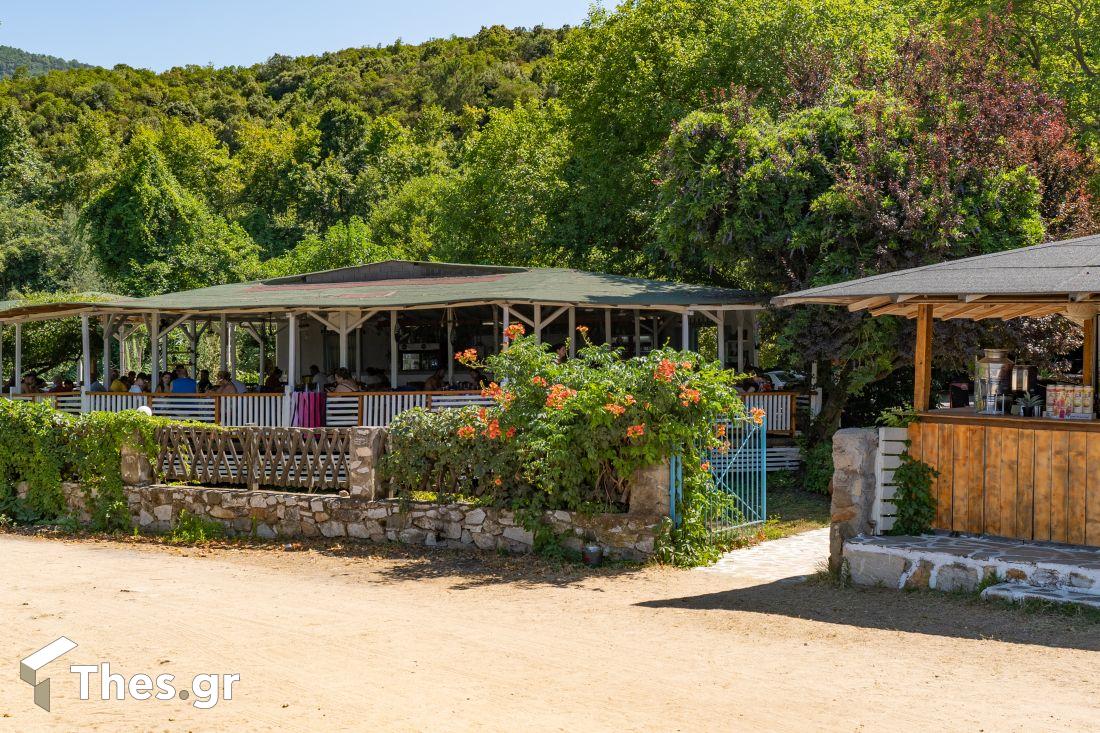 Beach bar- Εστιατόριο «Μπαλκονάκι» παραλία Βίνα Ολυμπιάδα Χαλκιδική