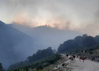 Δράμα: Ενισχύονται οι πυροσβεστικές δυνάμεις για τη φωτιά στο Φαλακρό