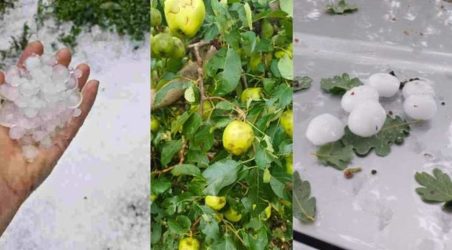 Εδεσσα: Σε απόγνωση οι παραγωγοί μετά την έντονη χαλαζόπτωση που έπληξε καλλιέργειες στα ορεινά