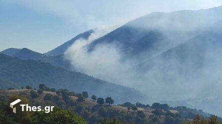 Σέρρες: Το όρος Ορβηλος έχει καεί σχεδόν ολοσχερώς – Μηνυτήρια αναφορά για τη φωτιά καταθέτει ο Δικηγορικός Σύλλογος