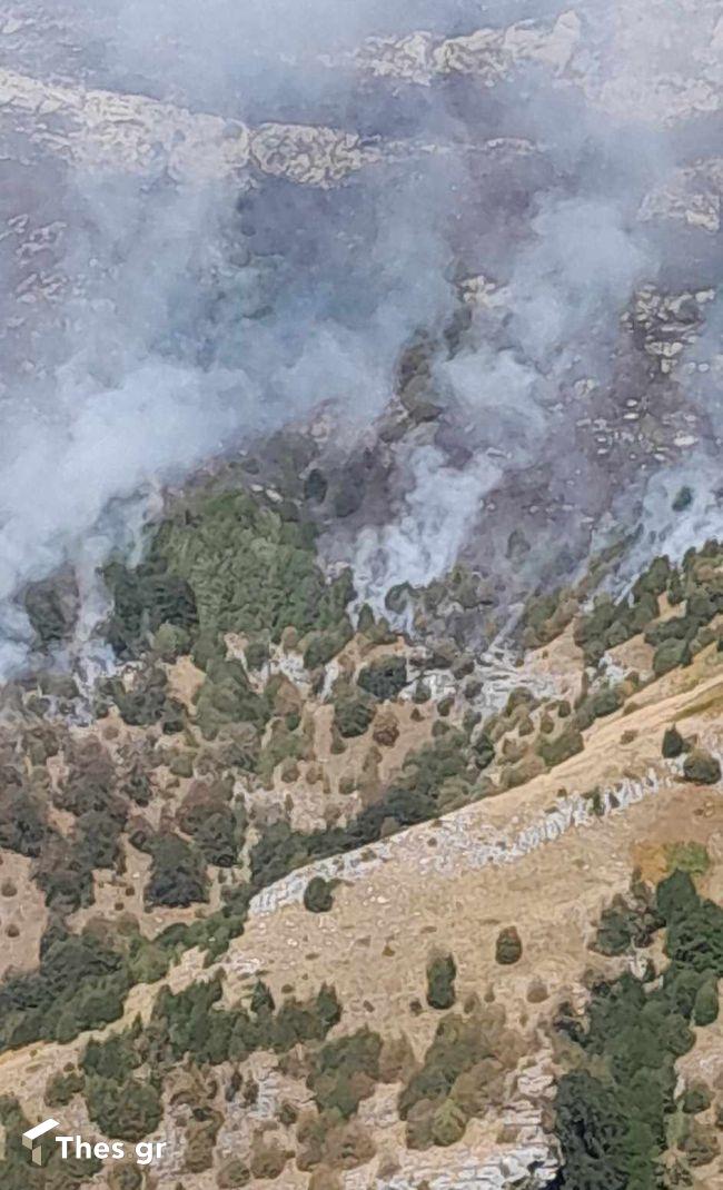 φωτιά Παγγαίο Ορος