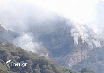 Καβάλα: Φωτιά σε δασική έκταση στη Νέα Πέραμο – Σηκώθηκαν δύο αεροσκάφη (ΒΙΝΤΕΟ)