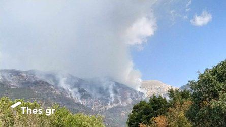 Για 5η ημέρα καίγεται το Παγγαίο – Μάχη με τις αναζωπυρώσεις (ΒΙΝΤΕΟ & ΦΩΤΟ)