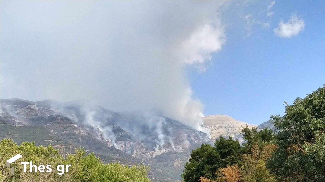 φωτιά Παγγαίο Ορος