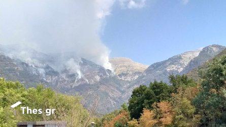 Για 4η ημέρα στις φλόγες το Παγγαίο – Αυξήθηκαν τα εναέρια μέσα, μεγάλη μάχη από πυροσβέστες και εθελοντές (ΒΙΝΤΕΟ & ΦΩΤΟ)