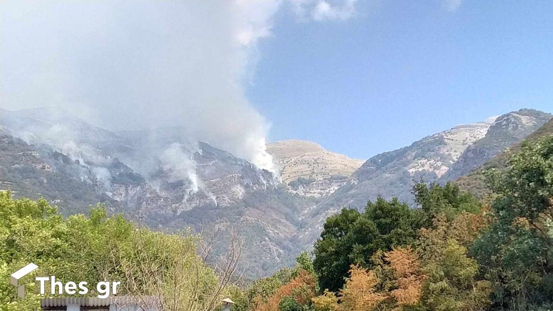 φωτιά Παγγαίο Ορος