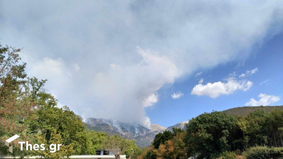φωτιά Παγγαίο Ορος