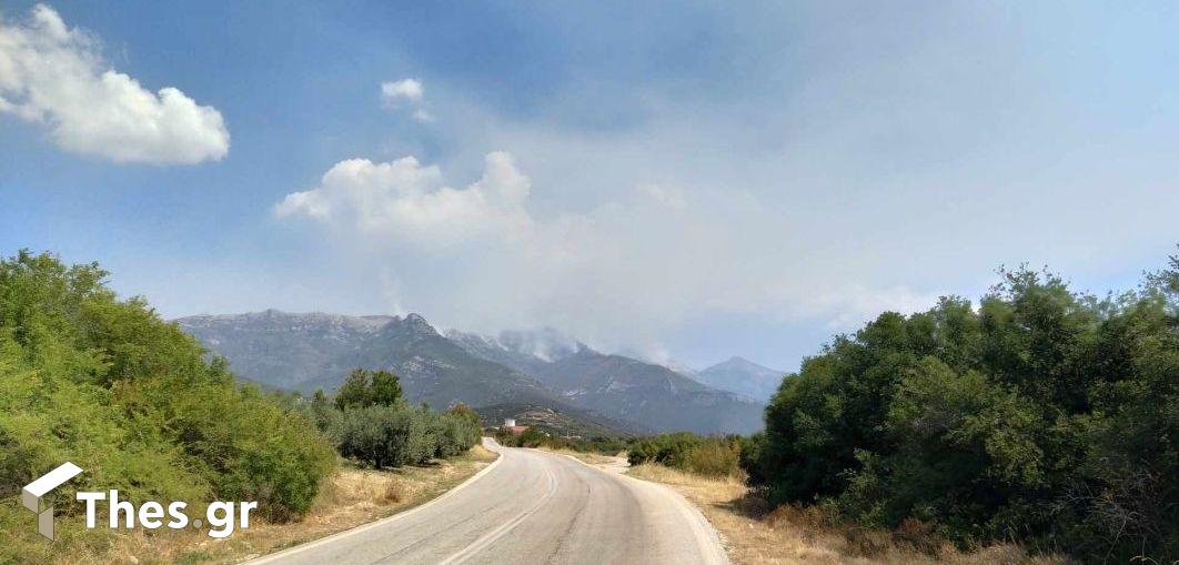 φωτιά Παγγαίο Ορος