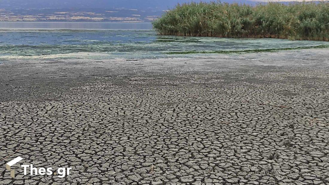 λίμνη Κορώνεια λειψυδρία