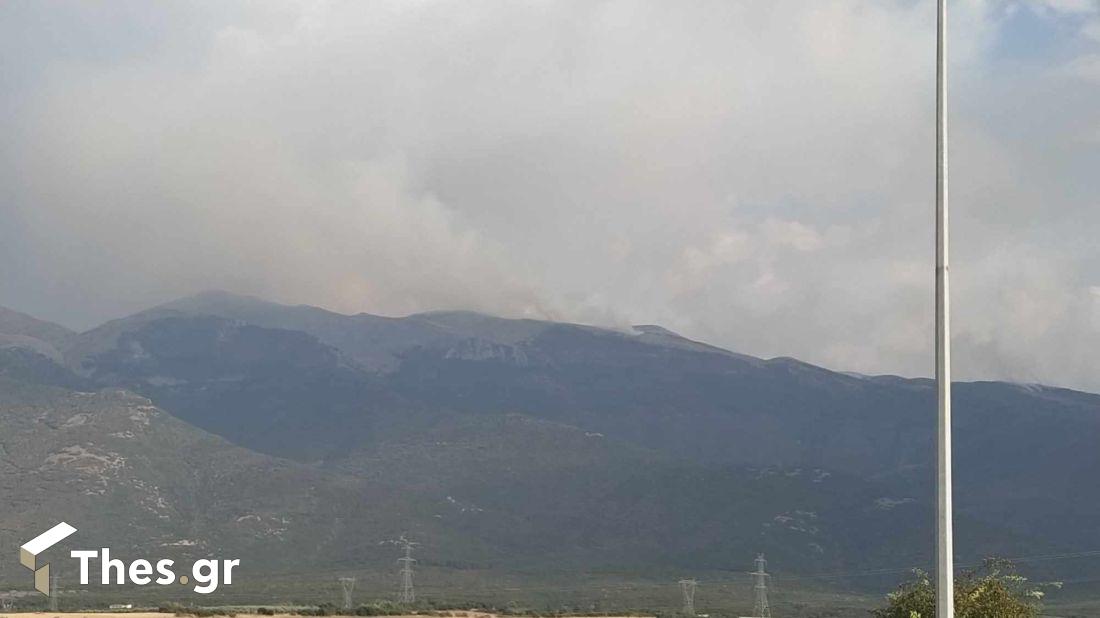 φωτιά Παγγαίο Ορος εικόνα από Ηλιοκώμη