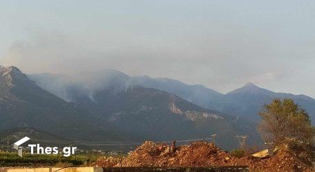 Για 7η μέρα καίγεται το Παγγαίο Ορος – Μόνο μία βροχή θα σώσει το βουνό (ΒΙΝΤΕΟ & ΦΩΤΟ)