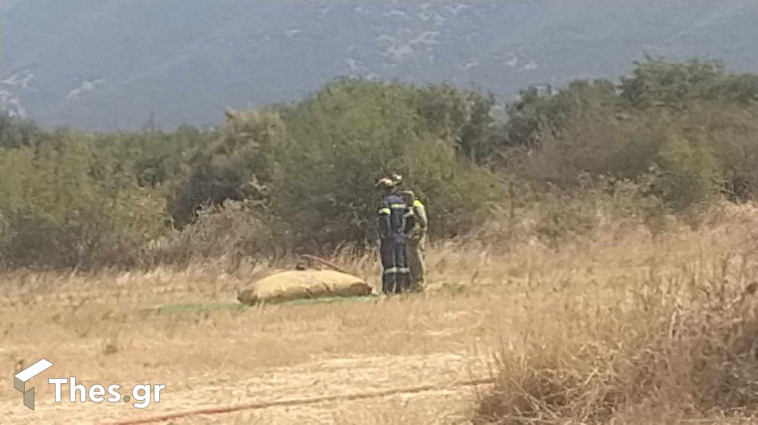 Παγγαίο Ορος φωτιά Πρώτη Σερρών Δήμος Αμφίπολης