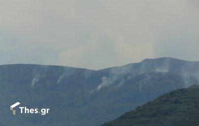 “Η σημερινή βροχή έσβησε τη φωτιά στο Παγγαίο”