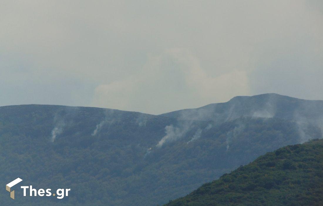 Παγγαίο Ορος φωτιά Πρώτη Σερρών Δήμος Αμφίπολης
