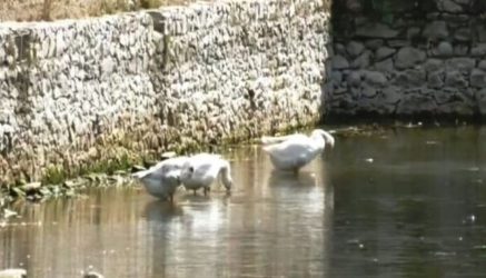 Δράμα: Σταμάτησαν να αναβλύζουν νερό οι πηγές της Αγίας Βαρβάρας 