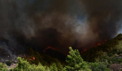 Κάτοικος Πεντέλης τράκαρε προσπαθώντας να γλιτώσει από την φωτιά – «Λυπάμαι που είμαι Έλληνας» (ΒΙΝΤΕΟ)