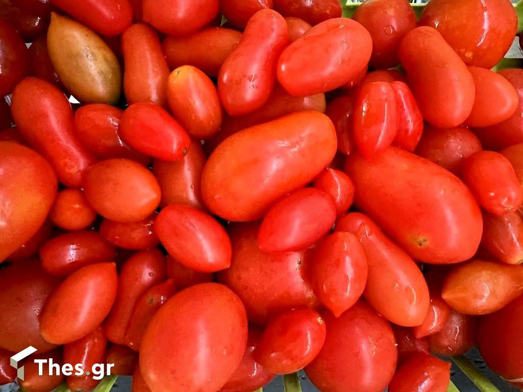 ντοματίνια