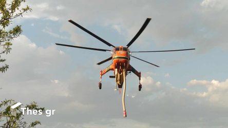 Φωτιά σε δασική έκταση στη Δράμα – Σηκώθηκαν εναέρια μέσα 