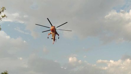 Θεσσαλονίκη: Υπό μερικό έλεγχο η φωτιά στην Φιλοθέη Θέρμης