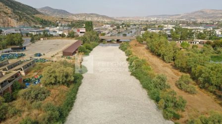Βόλος νεκρά ψάρια στον Ξηριά