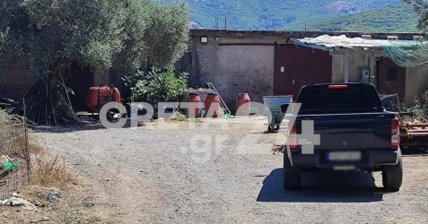 Πυροβόλησαν κτηνοτρόφο στην Κρήτη – Βρέθηκε με κομμένη γλώσσα