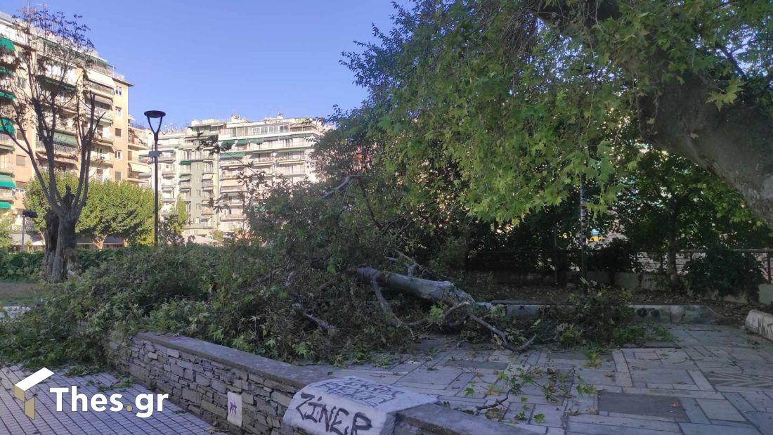 Θεσσαλονίκη Ναυαρίνου
