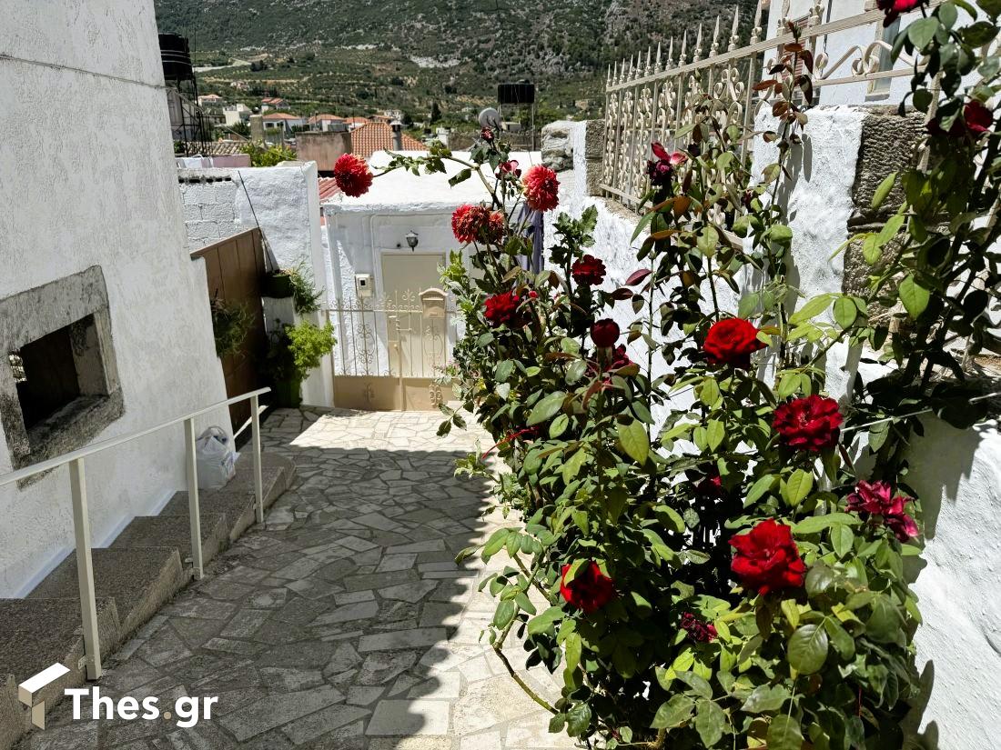  χωριό Κρήτη Ηράκλειο διακοπές Archanes Crete