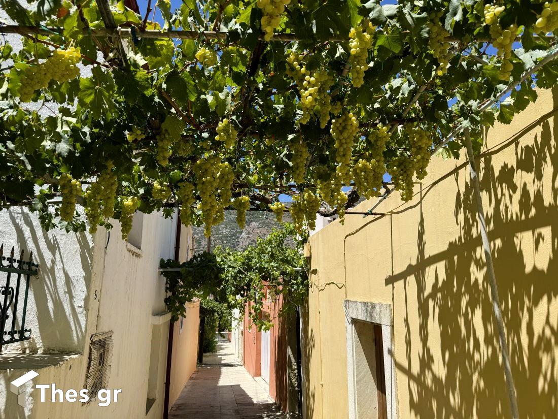 Αρχάνες χωριό Κρήτη Ηράκλειο διακοπές Archanes Crete