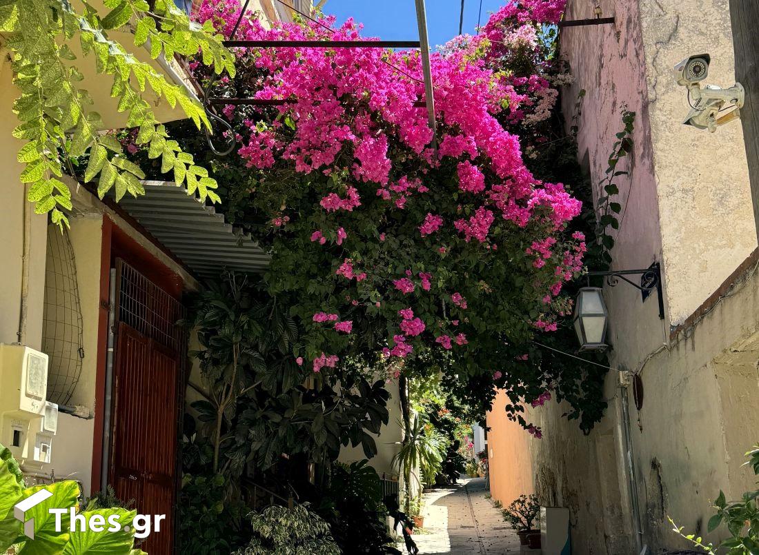 Αρχάνες χωριό Κρήτη Ηράκλειο διακοπές Archanes Crete