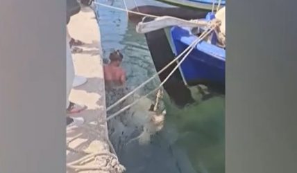 Ανάβυσσος γύρισμα ερωτικής ταινίας χελώνα