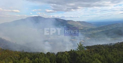 Υπό μερικό έλεγχο η πυρκαγιά στη Βλάστη Κοζάνης