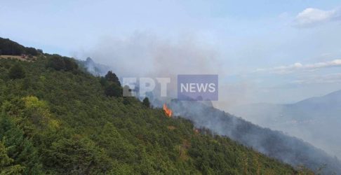 Μαίνεται η πυρκαγιά σε δύσβατο σημείο στην Βλάστη Κοζάνης – Δύσκολο το έργο της Πυροσβεστικής (ΦΩΤΟ)